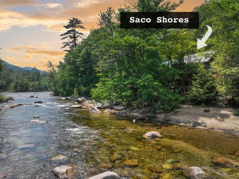 Saco Shores | Private Saco River Getaway w/ Beach