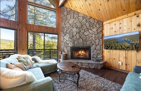 Cozy up this winter by fire, A frame in treetops