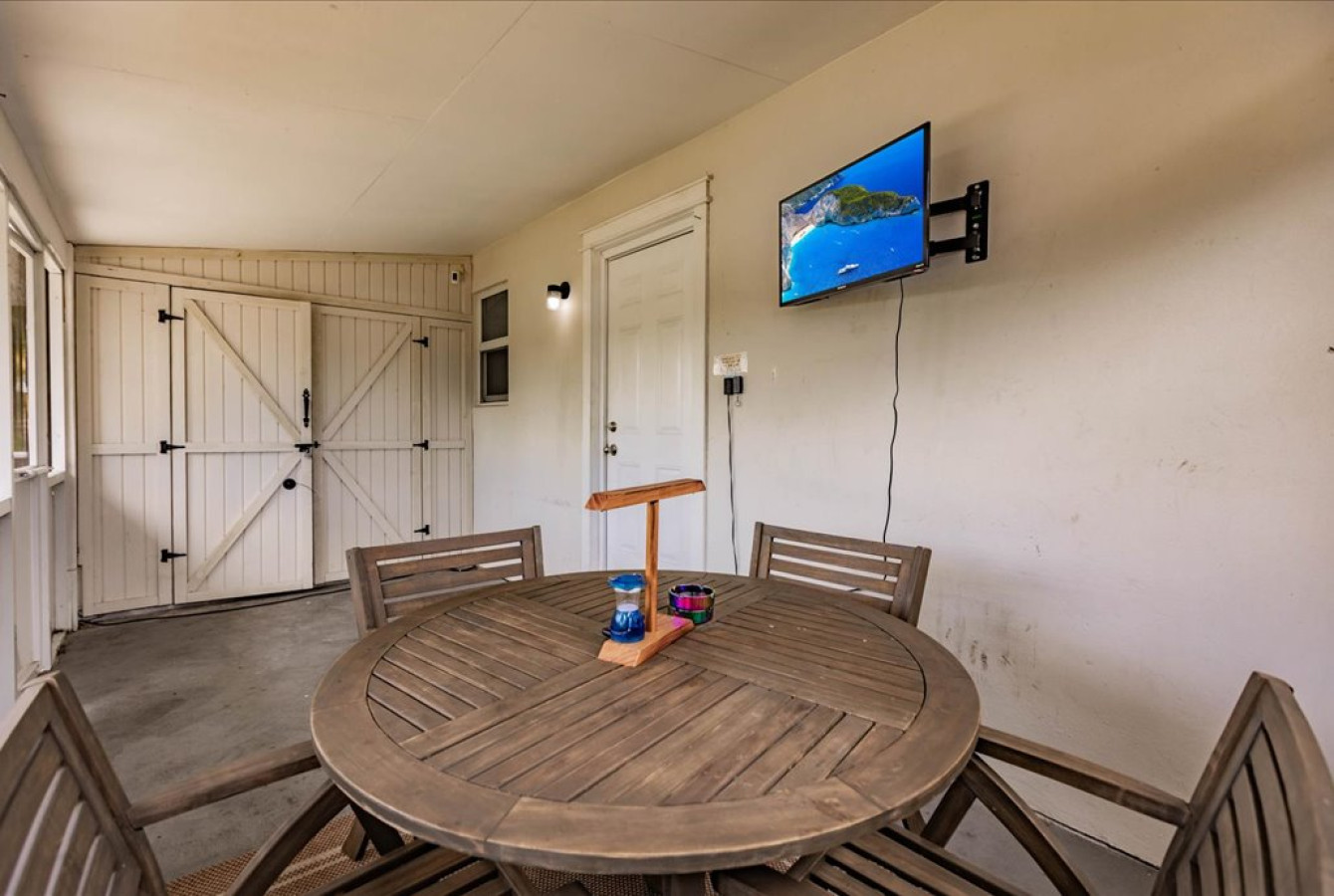 palm-tree-paradise-in-dania-beach/