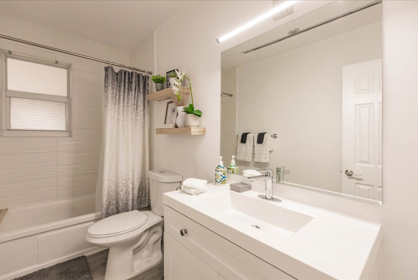 Palm Tree Paradise in Dania Beach - Dania Beach