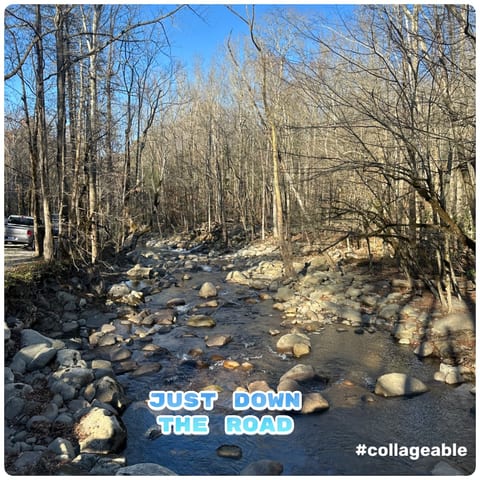 New 2 Bed 2 Bath Gatlinburg