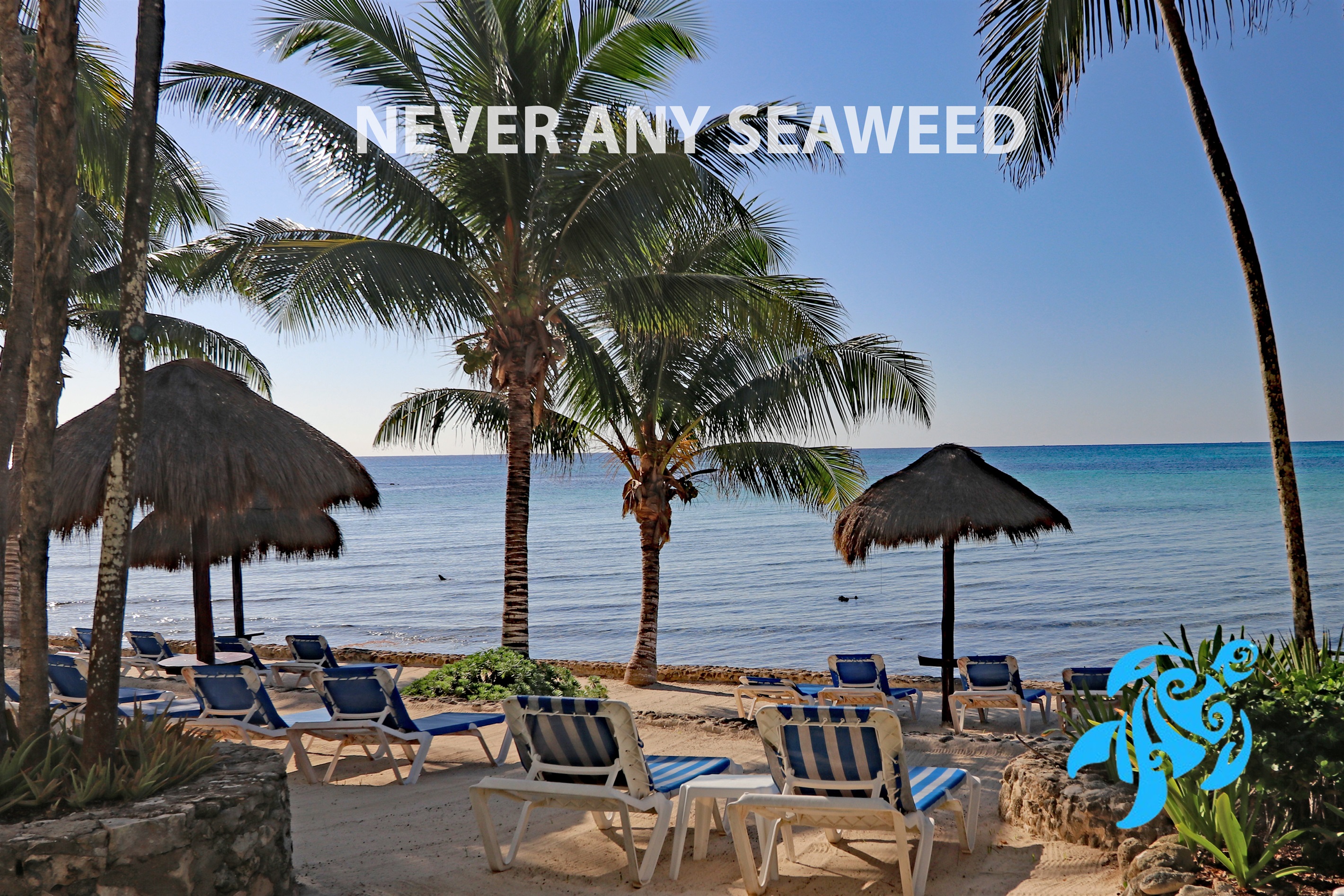 Your private beach loungers on the best part of Half Moon Bay!