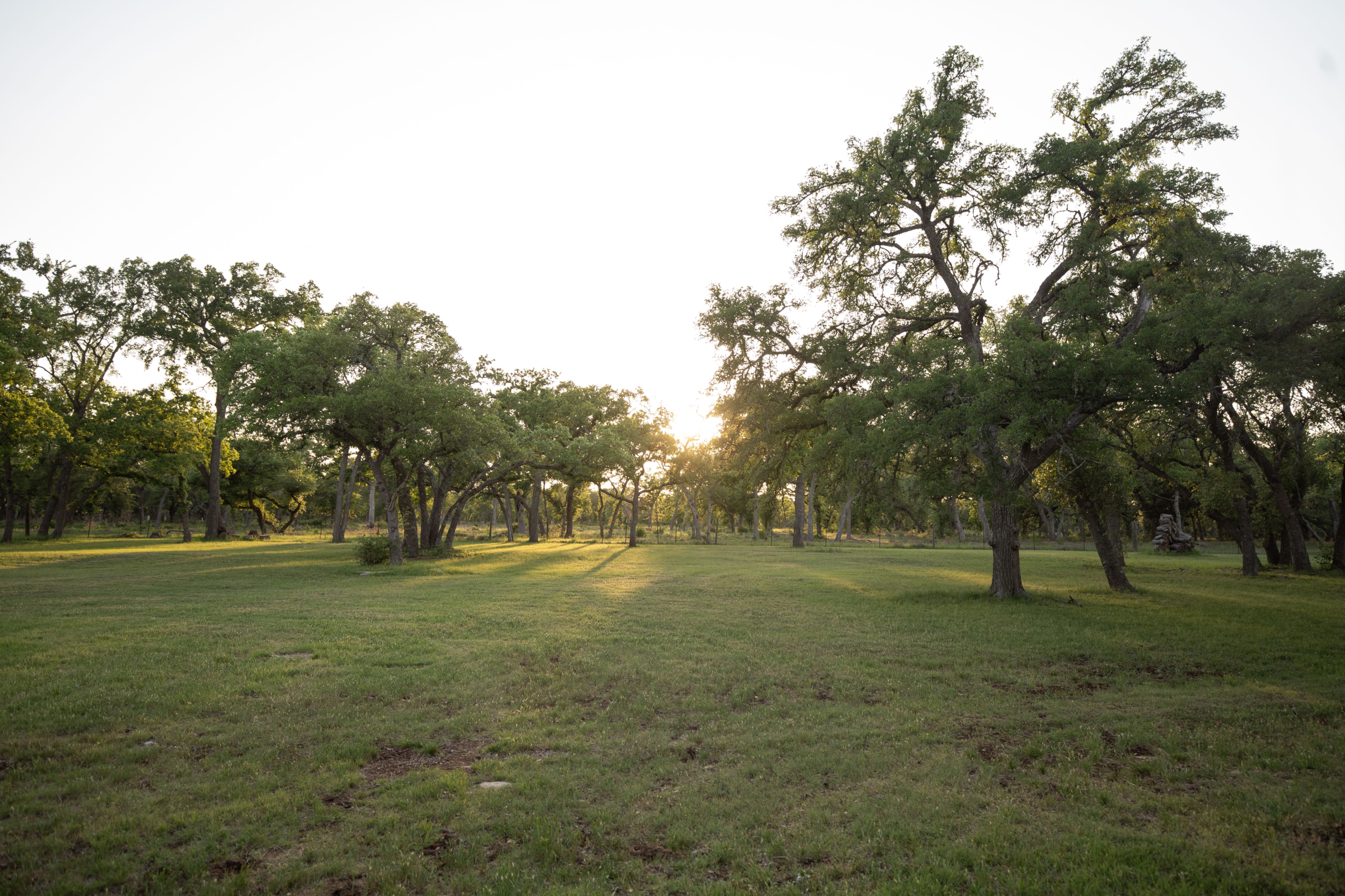 Peaceful and private grounds 