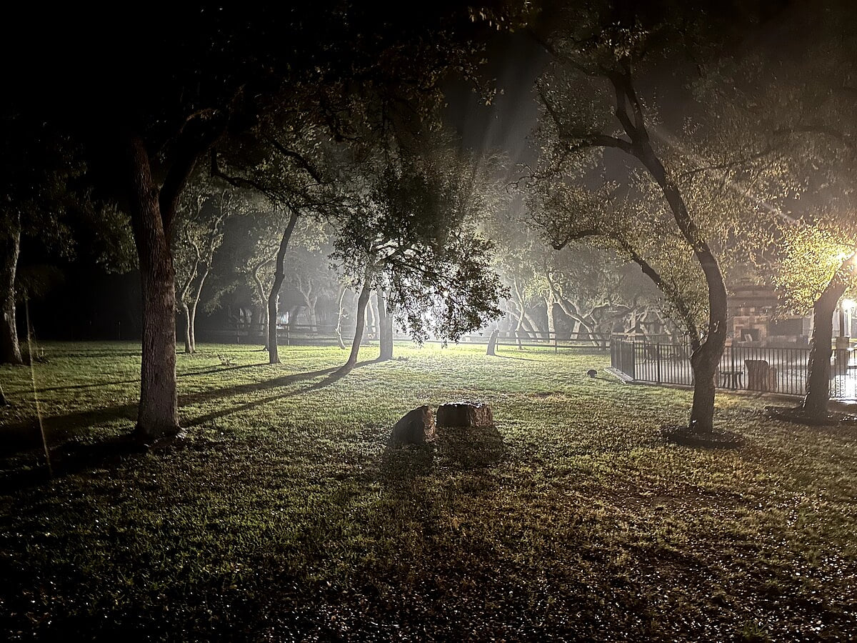 Whispering Oaks Estate Pool Cabana Firepit 10 Acre image 119