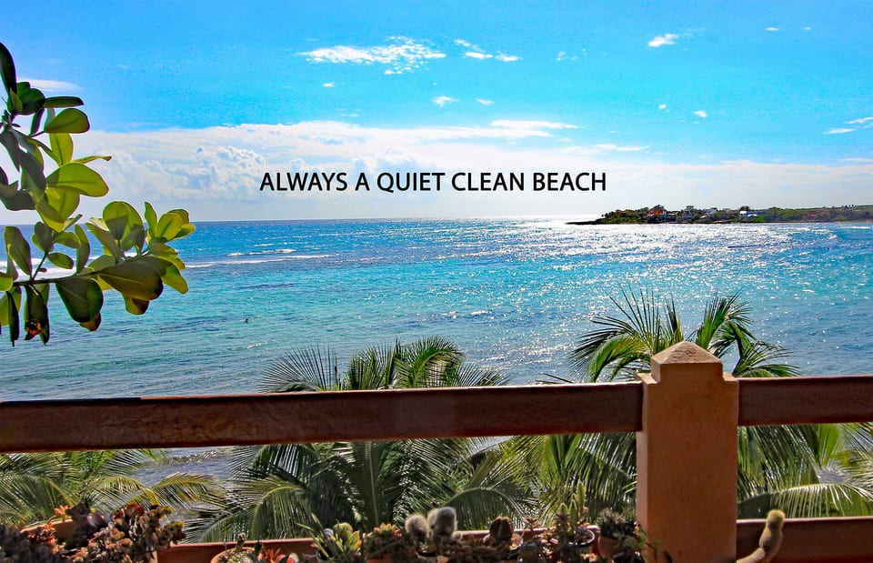 The absolutely best views In Akumal