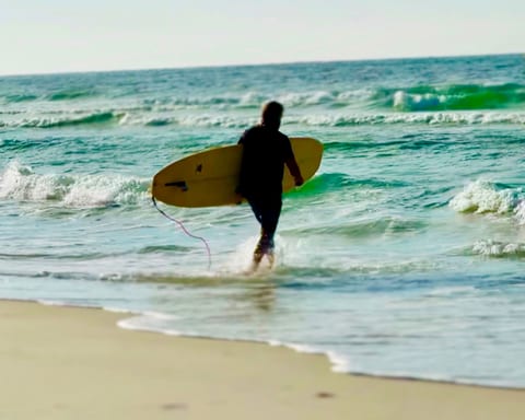 Surf’s up • Take surf lessons from local experts! 