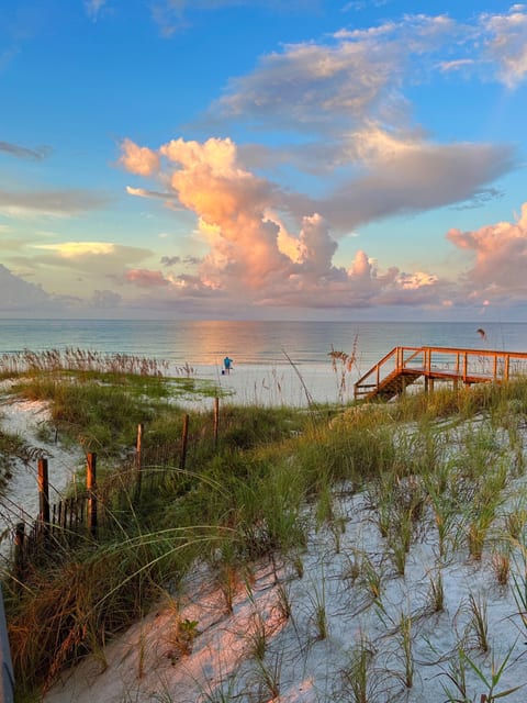 “LUPINE” public beach access ( 1 block east) is adjacent to the scenic vistas of Helen State Beach Park!
