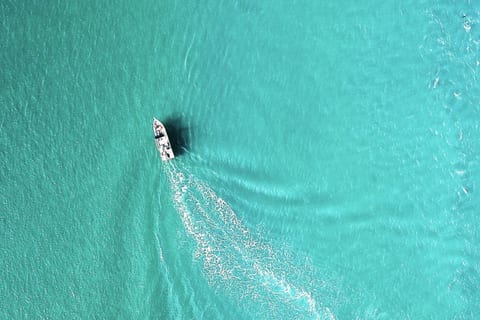 Charter a cruise to Shell Island, Crab Island, or St Andrews State Park!