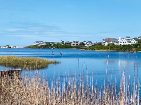 Take an eco-tour. 30A’s 16 rare dune lakes are thought to be over 10,000 years old!