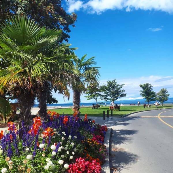 Maple Lane Travel Trailer Getaway