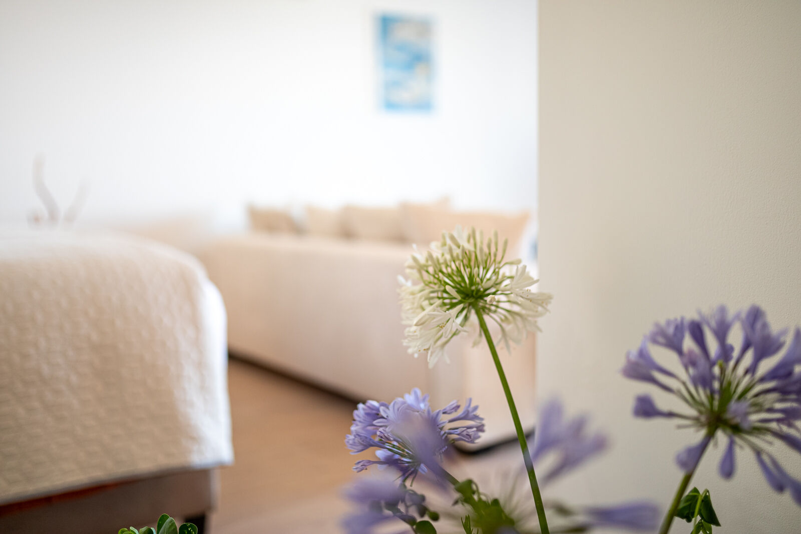 Apartments Doro - Unit 377441-13