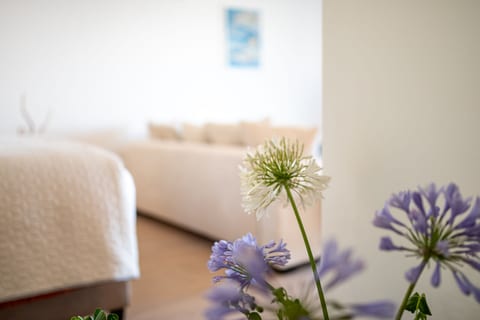 Apartments Doro - Unit 377441-13