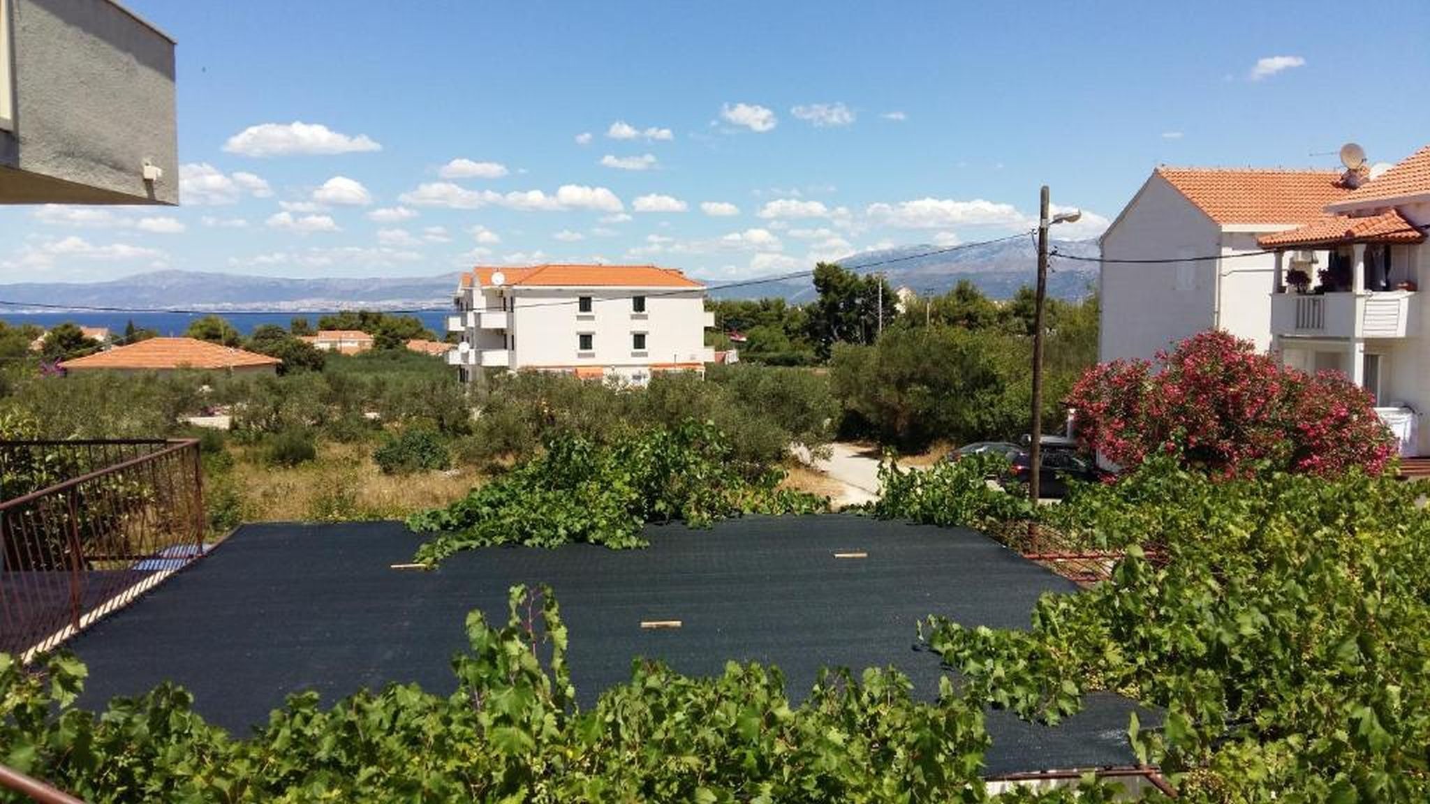 Apartment Rosa - Unit 377573-13