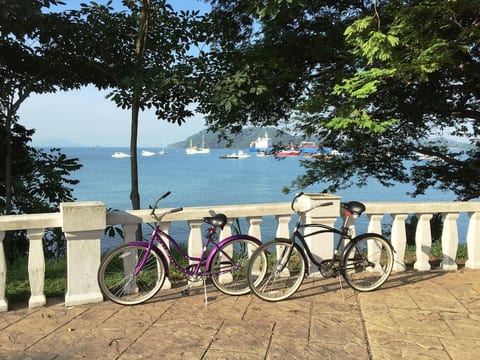Bicycles to enjoy the beautiful Causeway