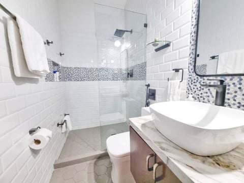 Modern bathroom with all the amenities: bidet & hygiene products with a tropical rain shower water feature in the spacious shower