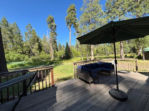 Moose Meadow