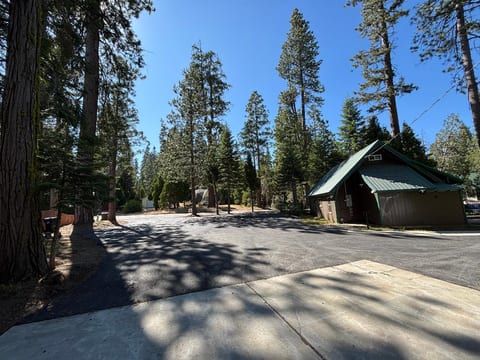 Moose Meadow
