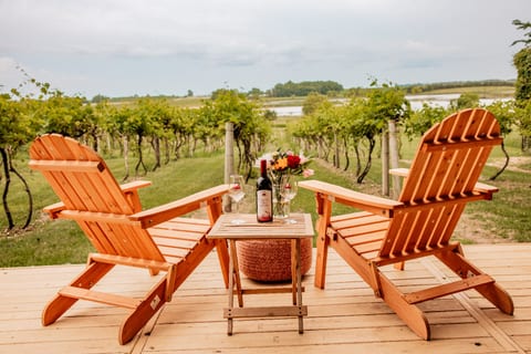 Painted Prairie - Vineyard Haus