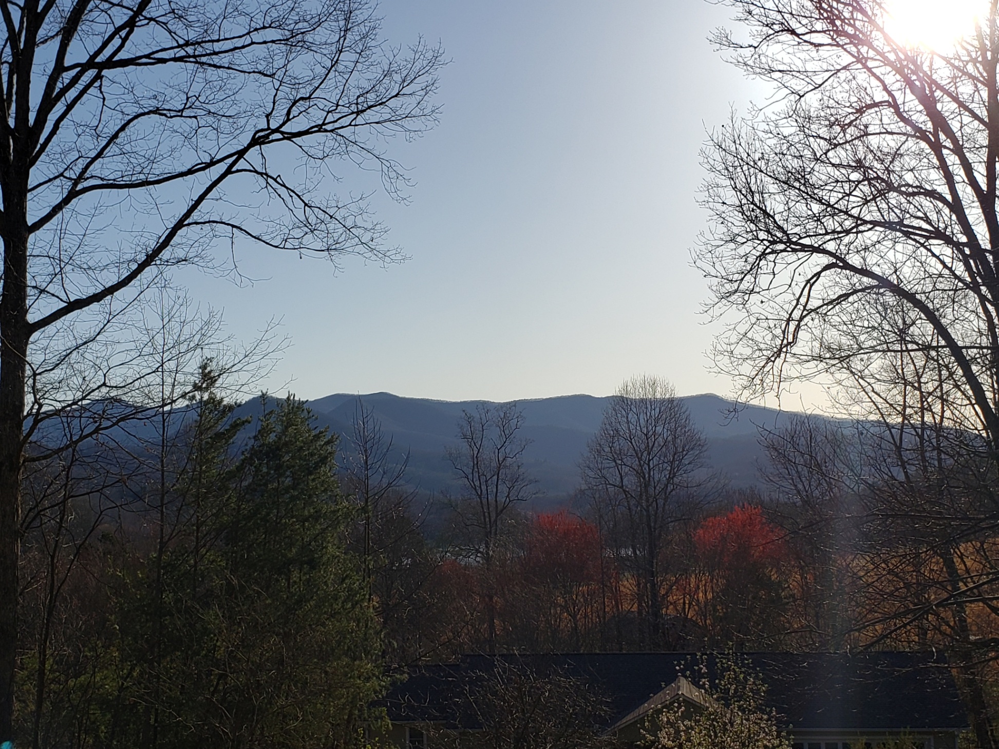 easy-access-fire-pit-deck-swing-movie-screen/