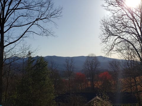 Easy Access | Fire Pit | Deck Swing | Movie Screen