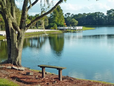 LB4608 - AMAZING Lake View ♥ w/Pool°o°Disney Area♥Lake Berkley