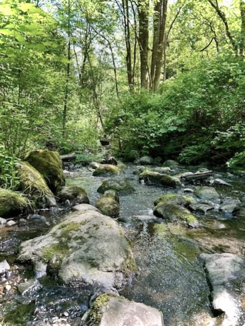 Escape to the Creek•FirePit•BBQ•AC•1MiRail•EV•Pet