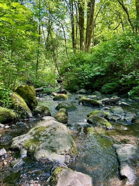 - Peaceful creek surrounded by lush green forest and rocks
- Natural escape with scenic trails and refreshing water views
- Serene spot for nature walks and outdoor relaxation nearby