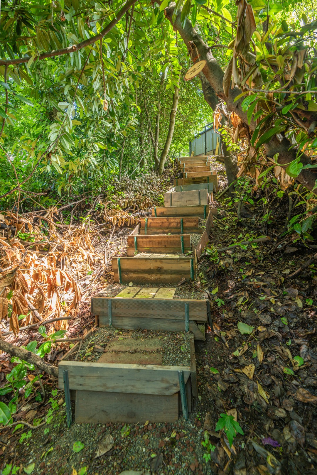 Enjoy direct access to Thornton Creek from our backyard. Follow the path to immerse yourself in nature's beauty, with the soothing sounds of flowing water and lush greenery offering the perfect setting to relax and explore.