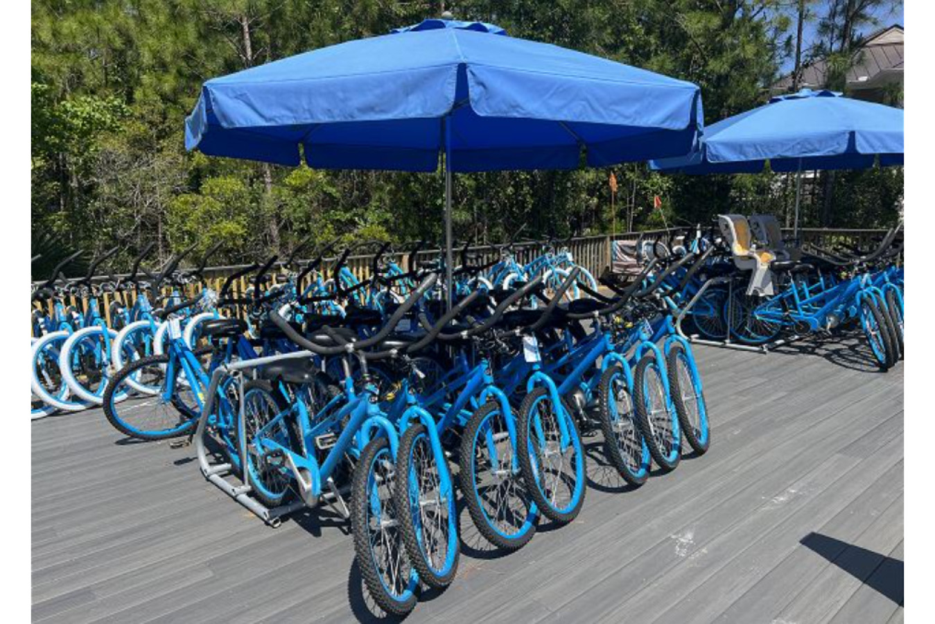 Gulf Front Condo on Scenic 30A | Steps to the Beach! - Santa Rosa Beach