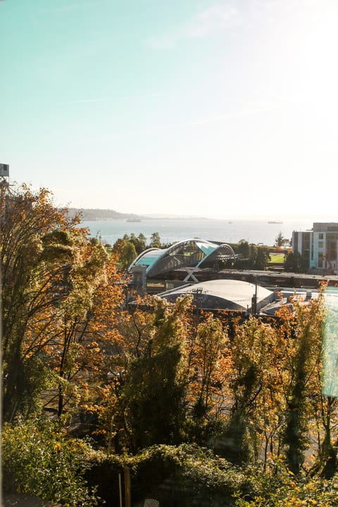 6 Bd Apartment w/ Mountain Views-5 min to Downtown