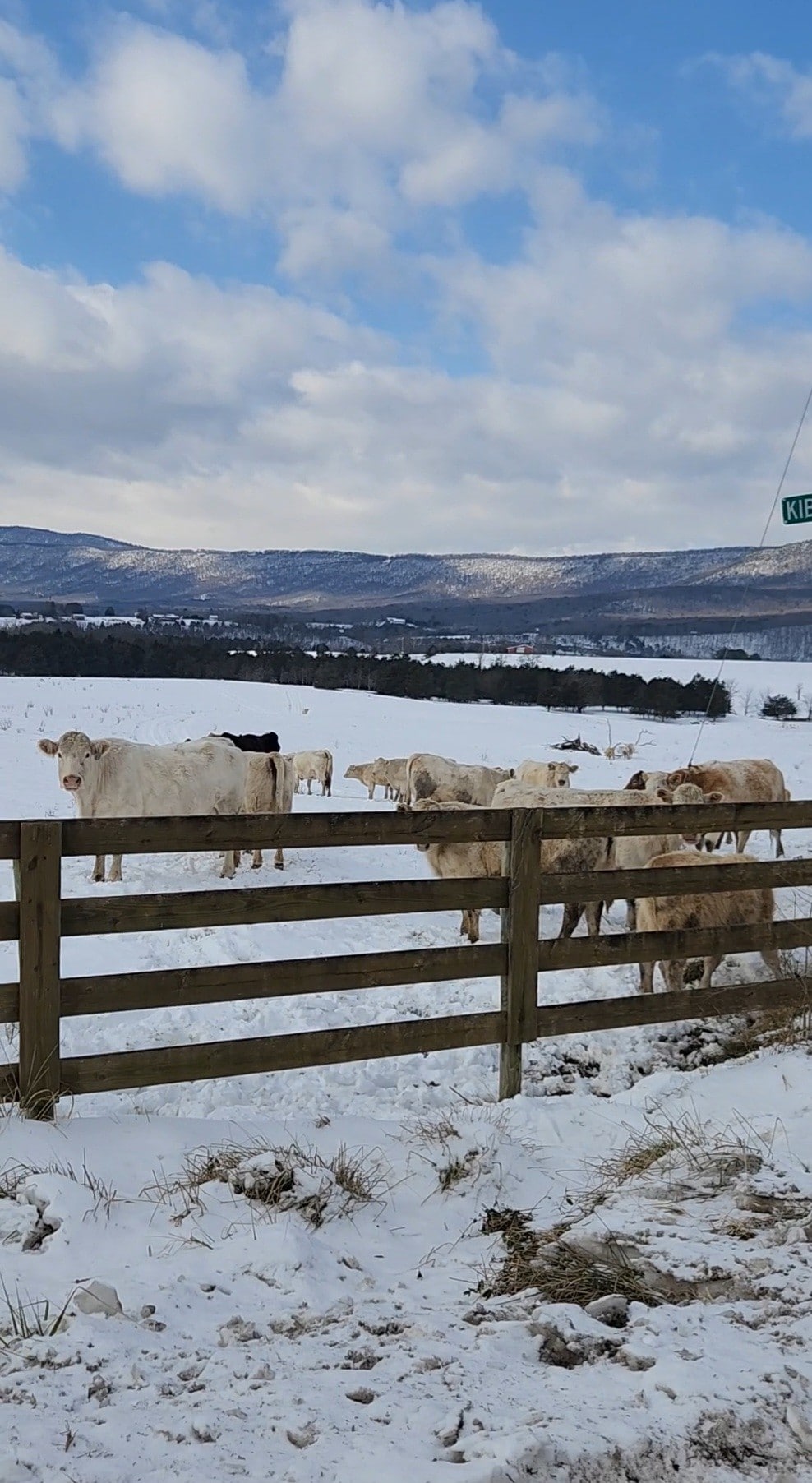 RiverCabin|PrivateRiverAccess|NoPetFee|Starlink|FP - Luray