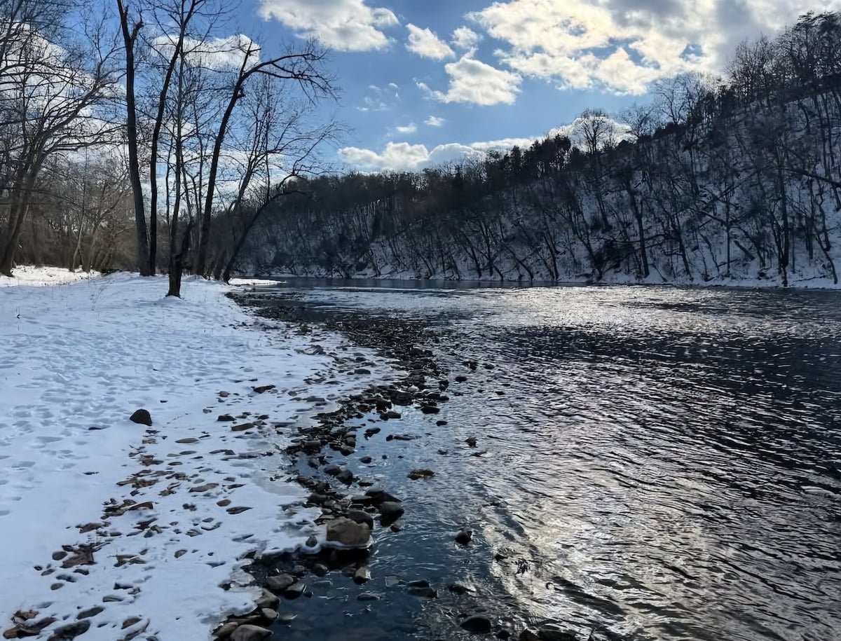 RiverCabin|PrivateRiverAccess|NoPetFee|Starlink|FP - Luray