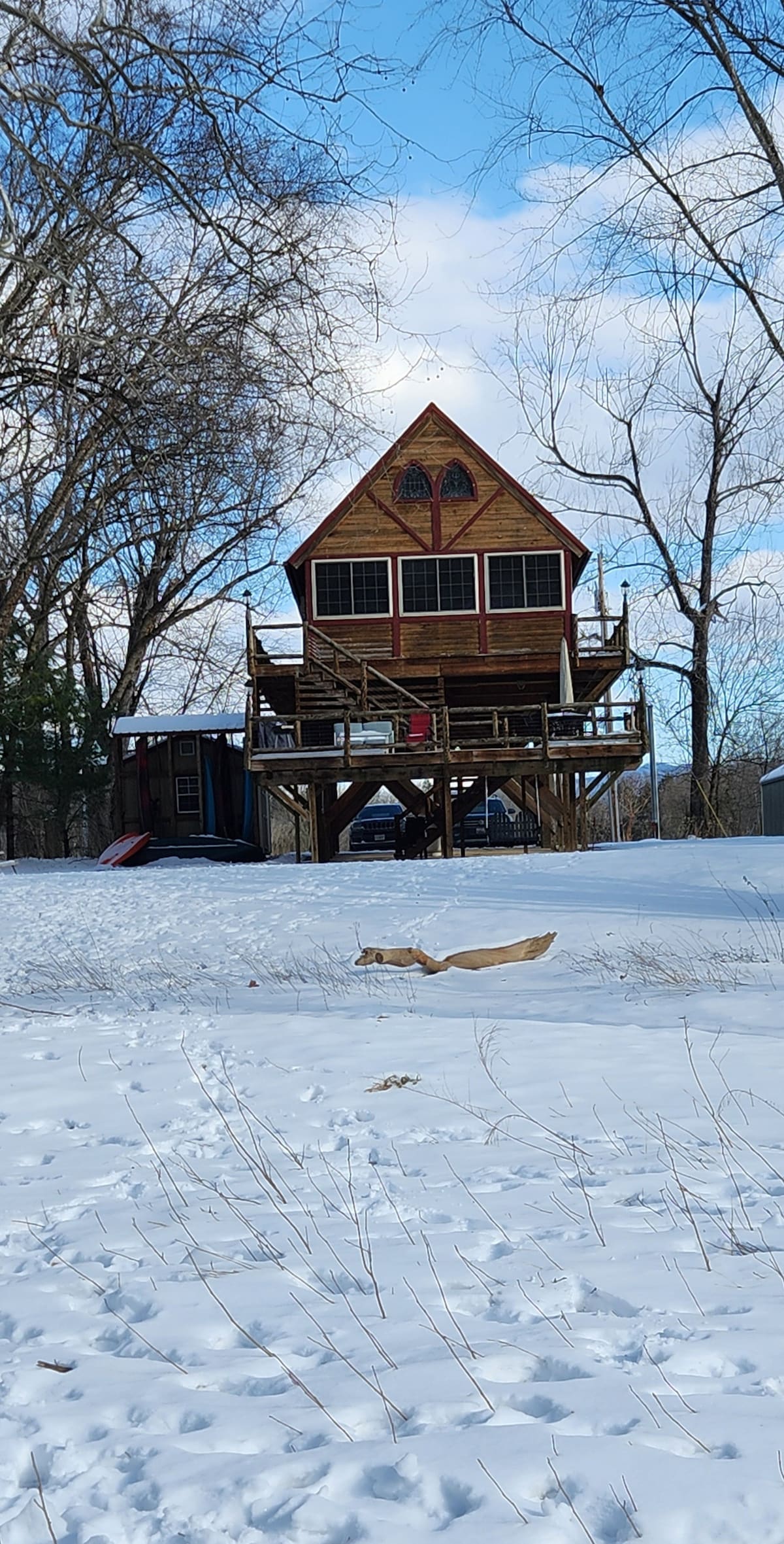 RiverCabin|PrivateRiverAccess|NoPetFee|Starlink|FP - Luray