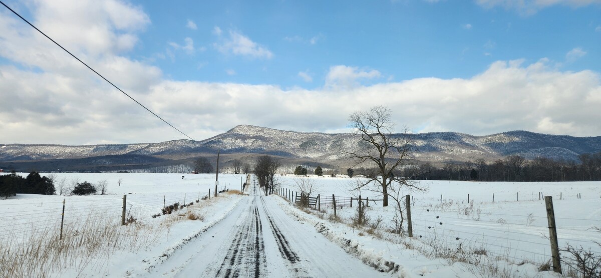 RiverCabin|PrivateRiverAccess|NoPetFee|Starlink|FP - Luray