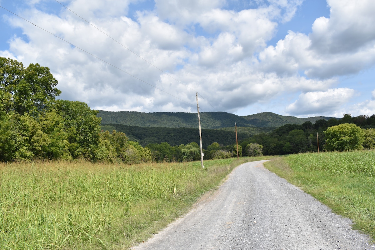 rivercabin-privateriveraccess-nopetfee-starlink-fp/