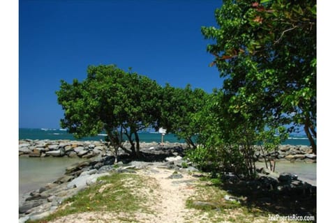 Golden Coast Haven Steps to Dorado Beach
