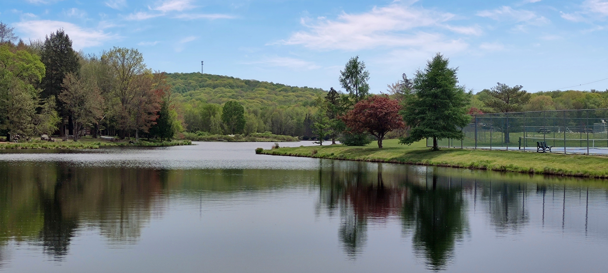 Waterfront in Arrowhead lake  community 
