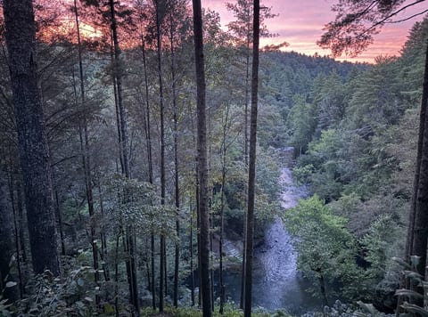 Bluffview | Gorgeous views