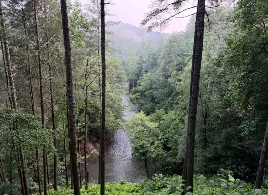 Secluded cabin | Gorgeous views
