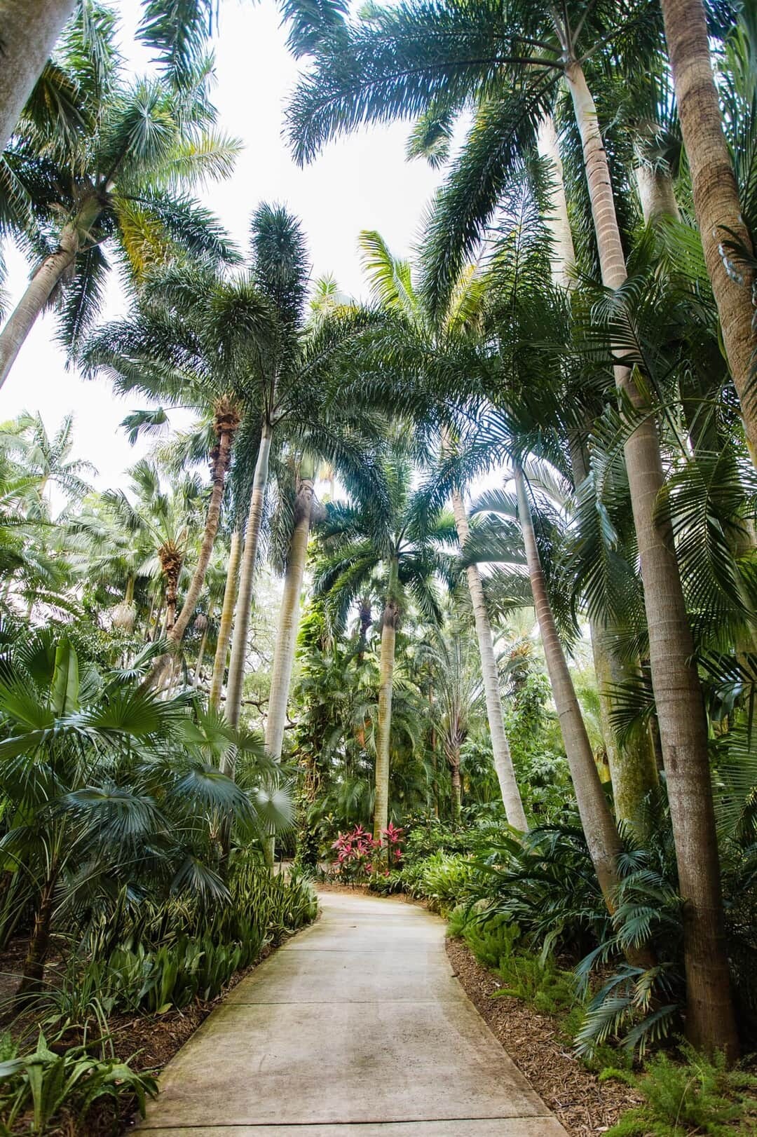 Private Guest suite/Patio/Laundry/Parking/Beach - Saint Petersburg