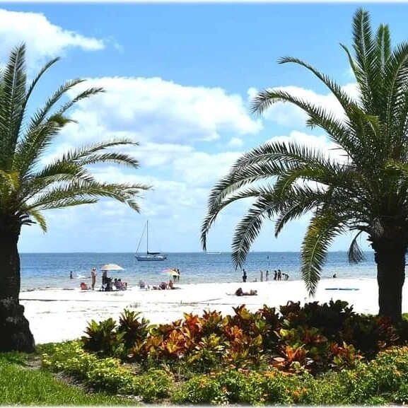 Private Guest suite/Patio/Laundry/Parking/Beach - Saint Petersburg