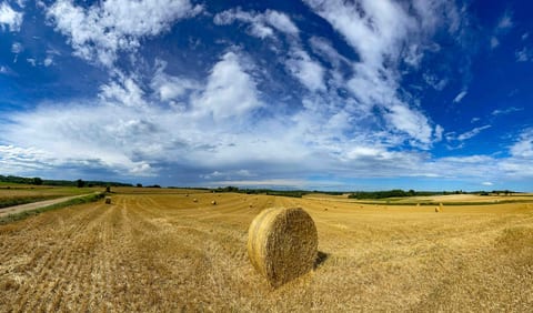 Nearby fields at harvest time