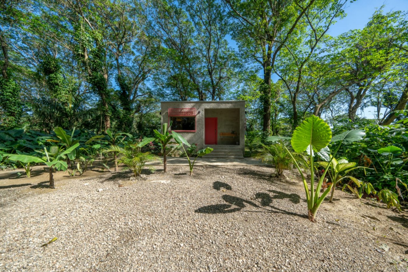 Stylish Jungle Cabin – River, Hammocks, Wi-Fi