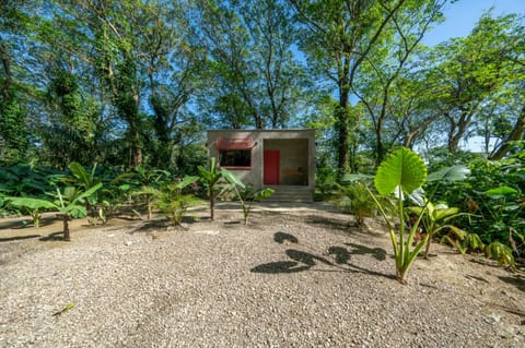 Stylish Jungle Cabin – River, Hammocks, Wi-Fi