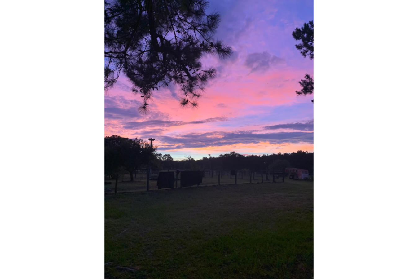 Farrington Legacy Ranch