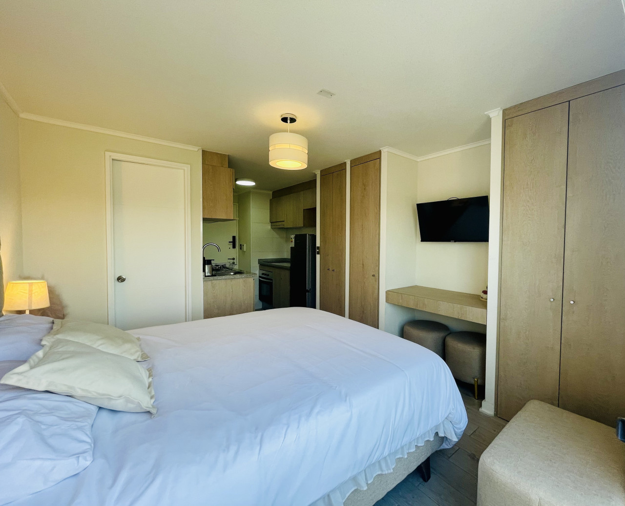 studio-plaza-yungay-b-or-home-office-laundry-wifi/