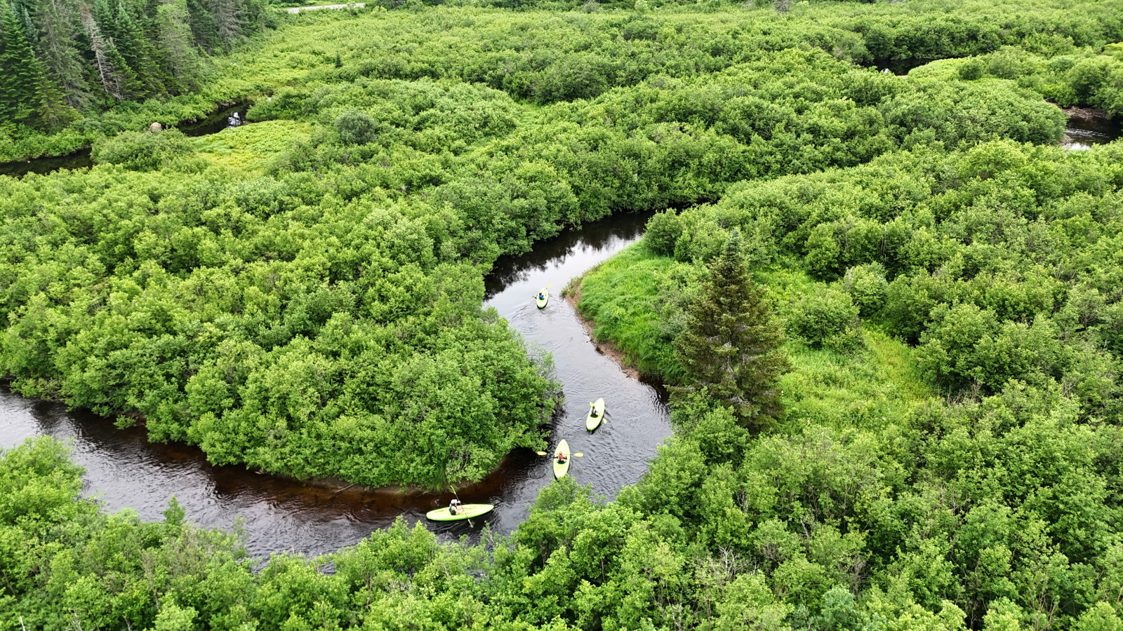 le-1056-the-river-refuge/
