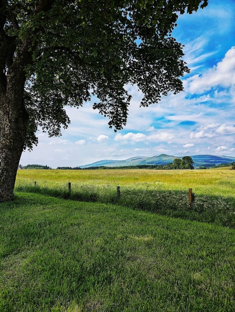 Rural Guest Suite | Outdoor Kitchen, EV & Parking