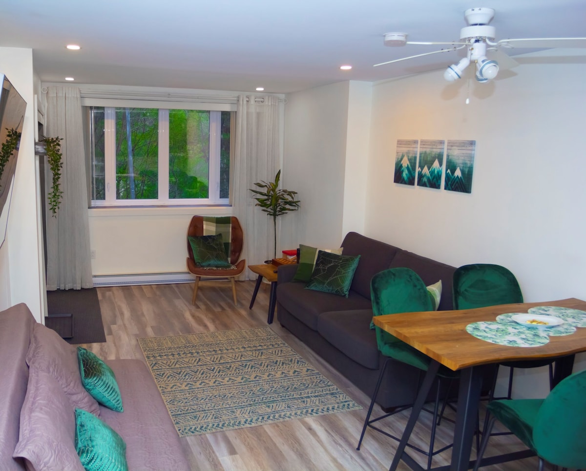 mountain-view-condo/