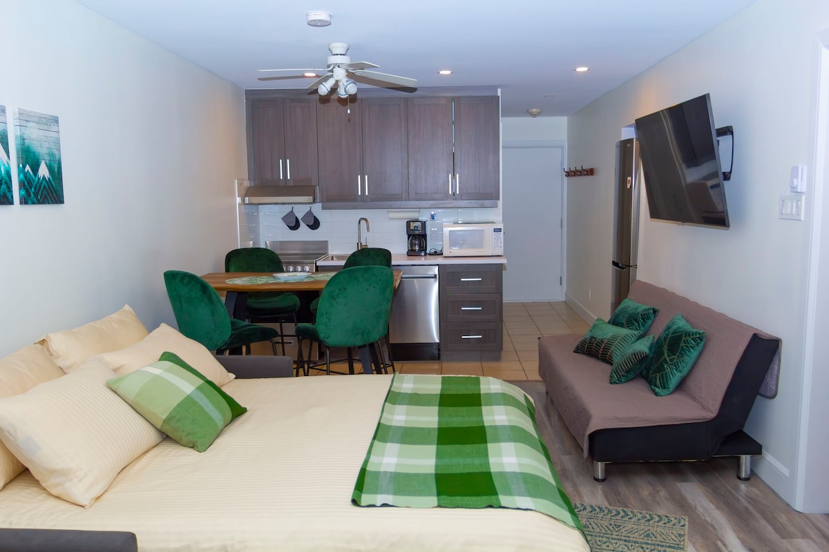 mountain-view-condo/